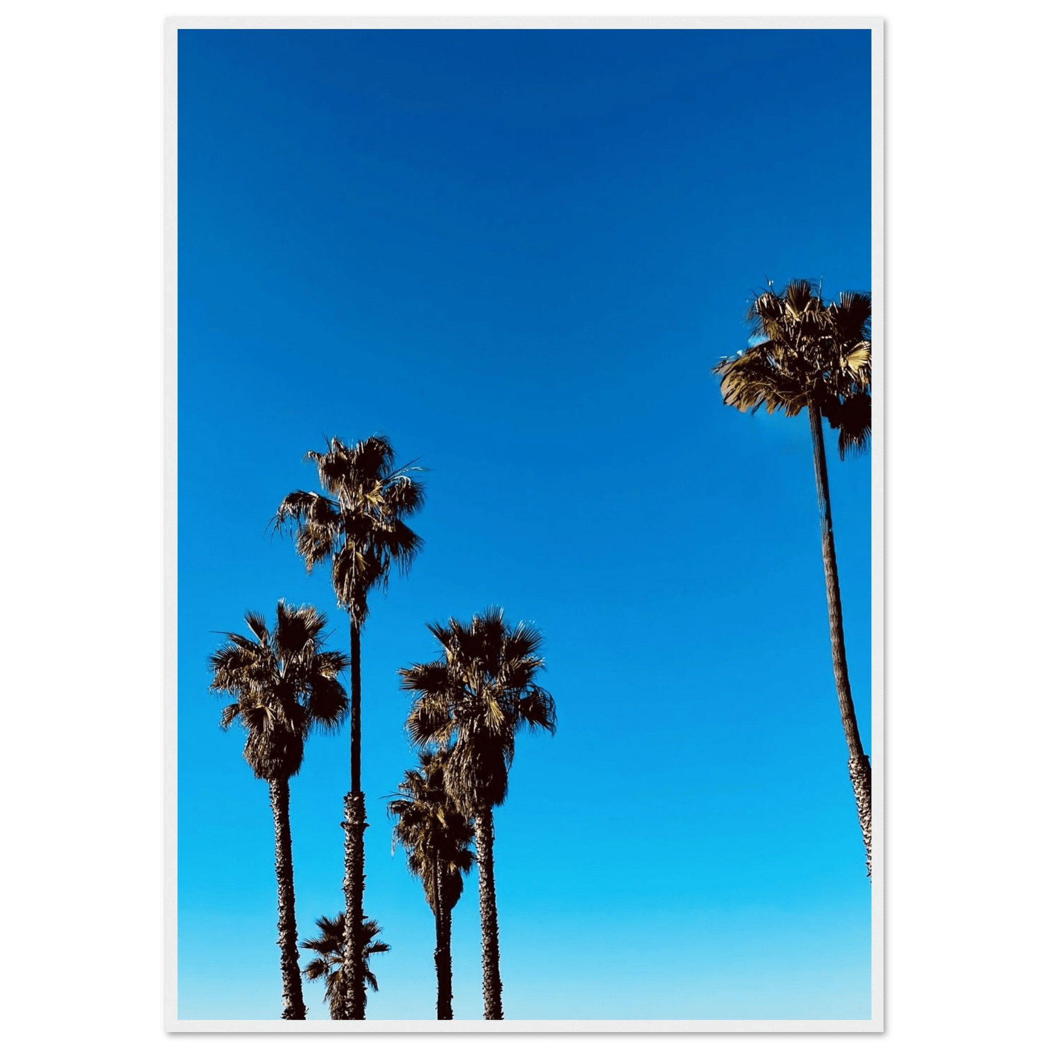 Santa Barbara Palm Tree Magic wooden framed poster on premium semi-glossy paper, California-themed home decor by CaliCuration.