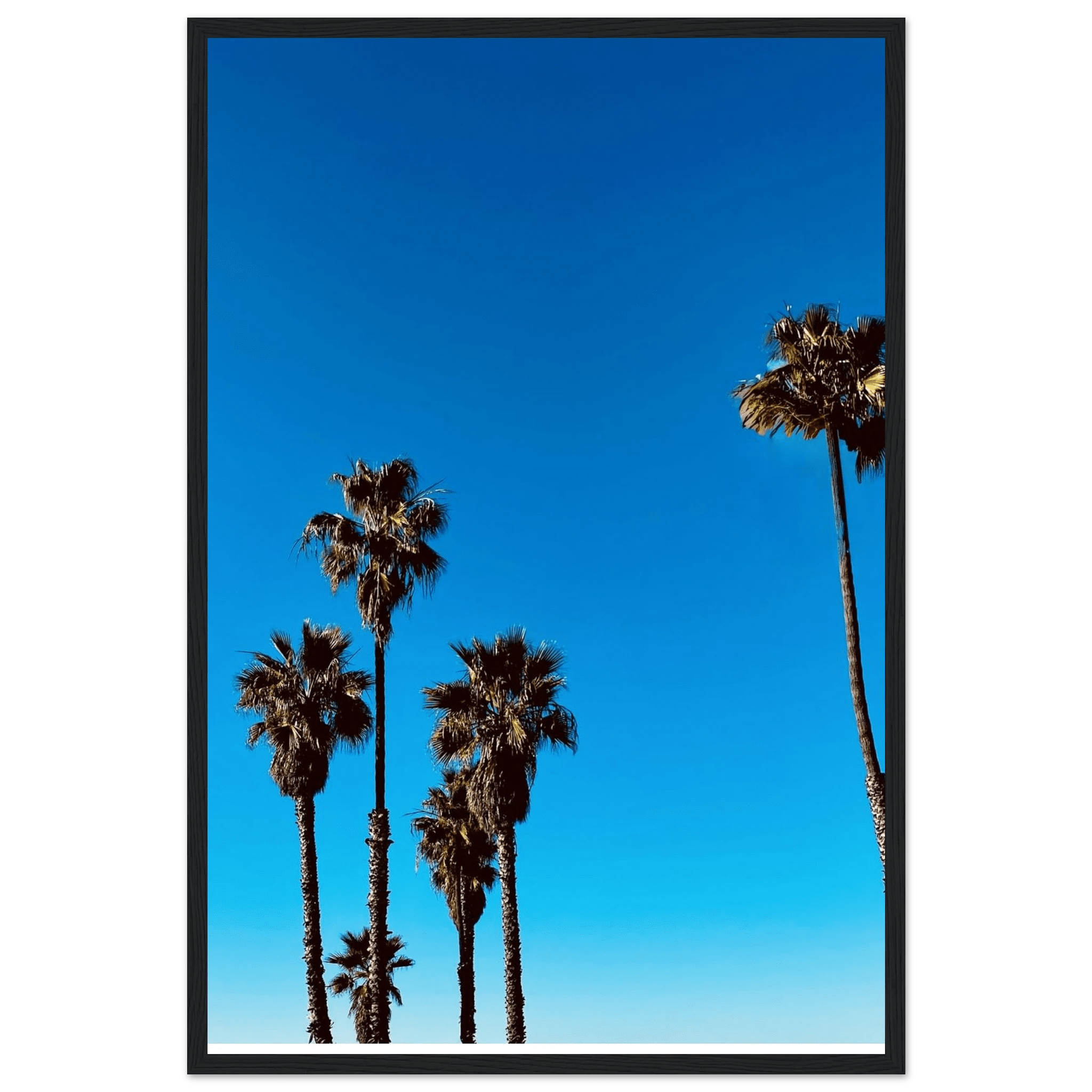 Santa Barbara Palm Tree Magic poster by CaliCuration featuring California-themed palm tree art on semi-glossy paper with a wooden frame.