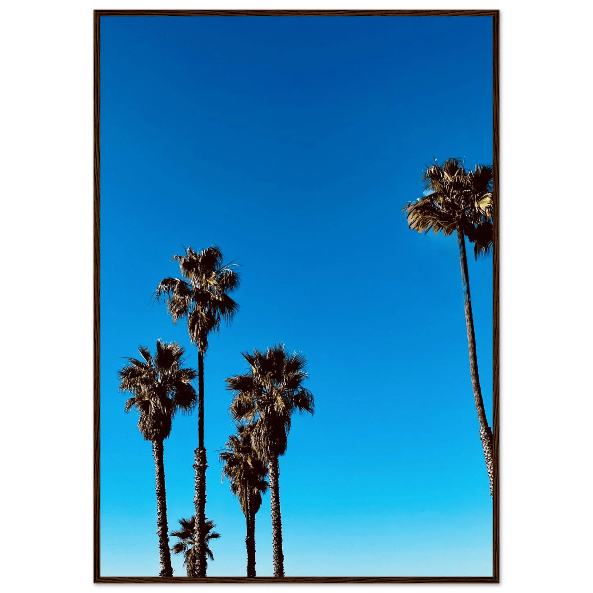 Wooden framed Santa Barbara Palm Tree Magic poster on semi-glossy paper, California-themed home decor by CaliCuration, Spring 2026.