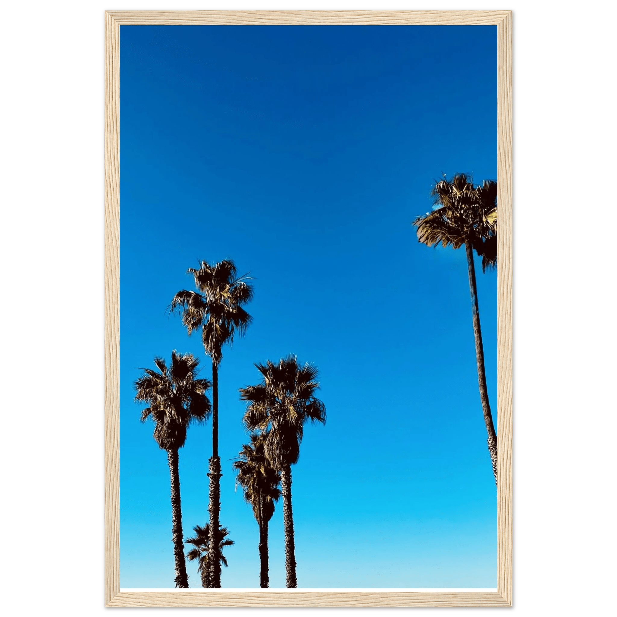 Santa Barbara Palm Tree Magic wooden framed poster on semi-glossy paper showcasing California poster art by CaliCuration.