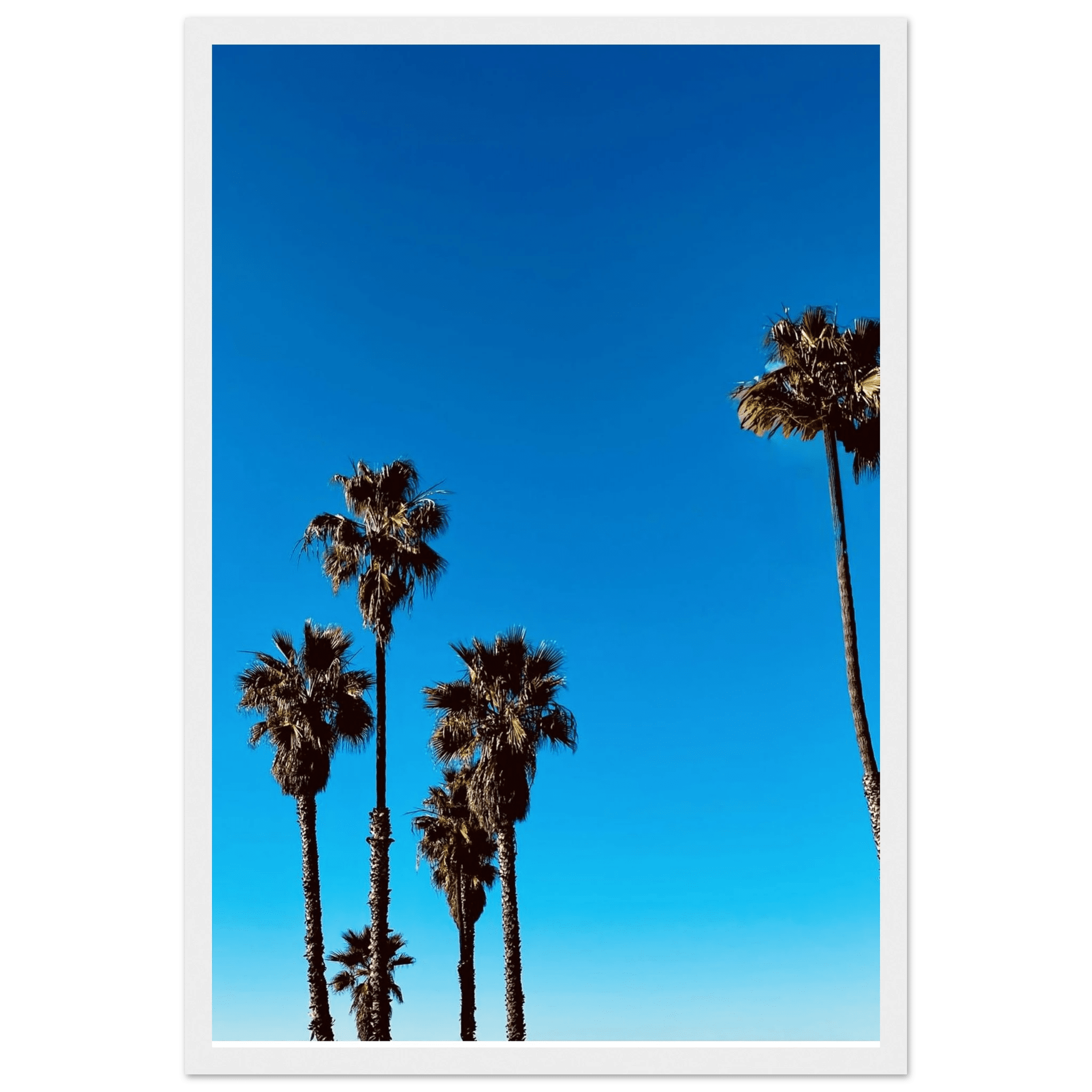 Santa Barbara Palm Tree Magic wooden framed poster, California art, semi-glossy paper, Studio Edition for home decor.