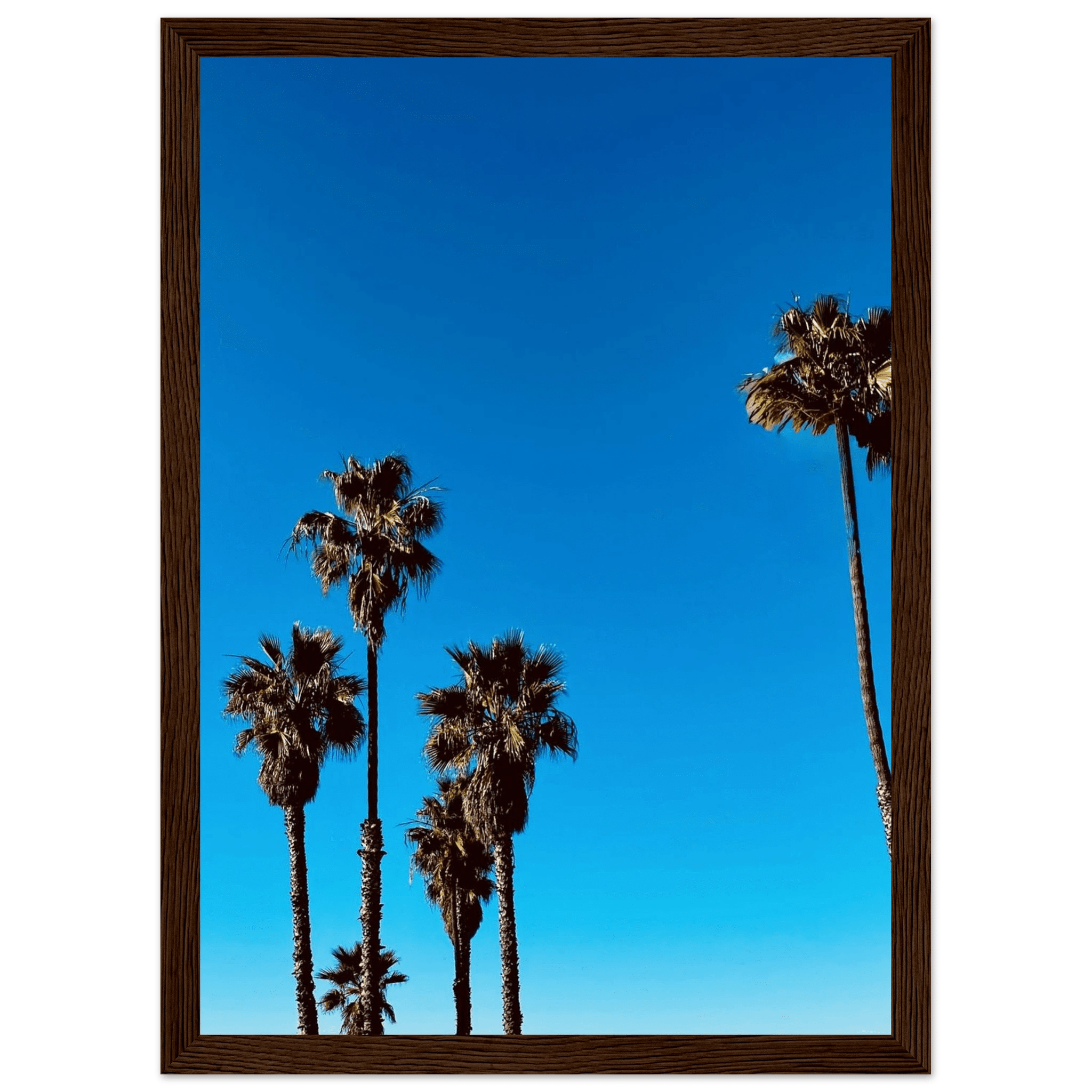Santa Barbara Palm Tree Magic wooden framed poster on semi-glossy paper, California art studio edition for home decor.