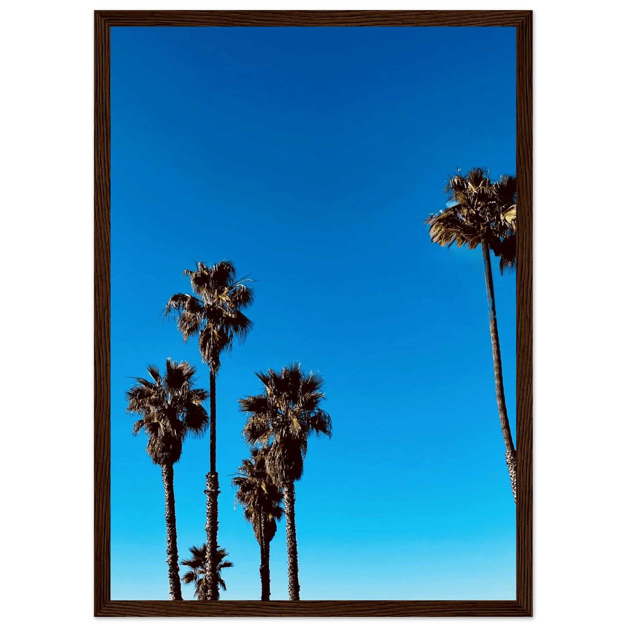 Wooden framed Santa Barbara Palm Tree Magic poster on semi-glossy paper, California art studio edition for home decor.
