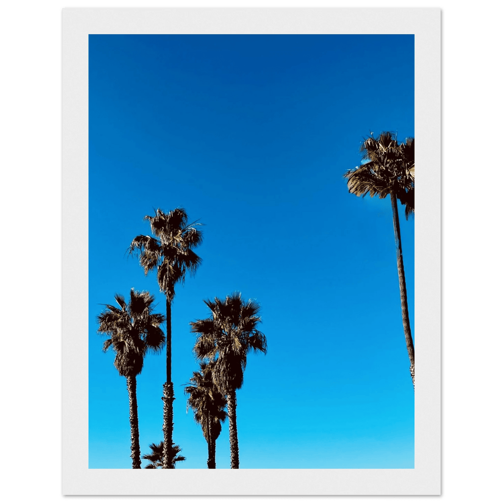 Wooden framed Santa Barbara Palm Tree Magic poster on semi-glossy paper, California-themed home decor by CaliCuration.