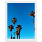 Wooden framed Santa Barbara Palm Tree Magic poster on semi-glossy paper, California-themed home decor by CaliCuration.