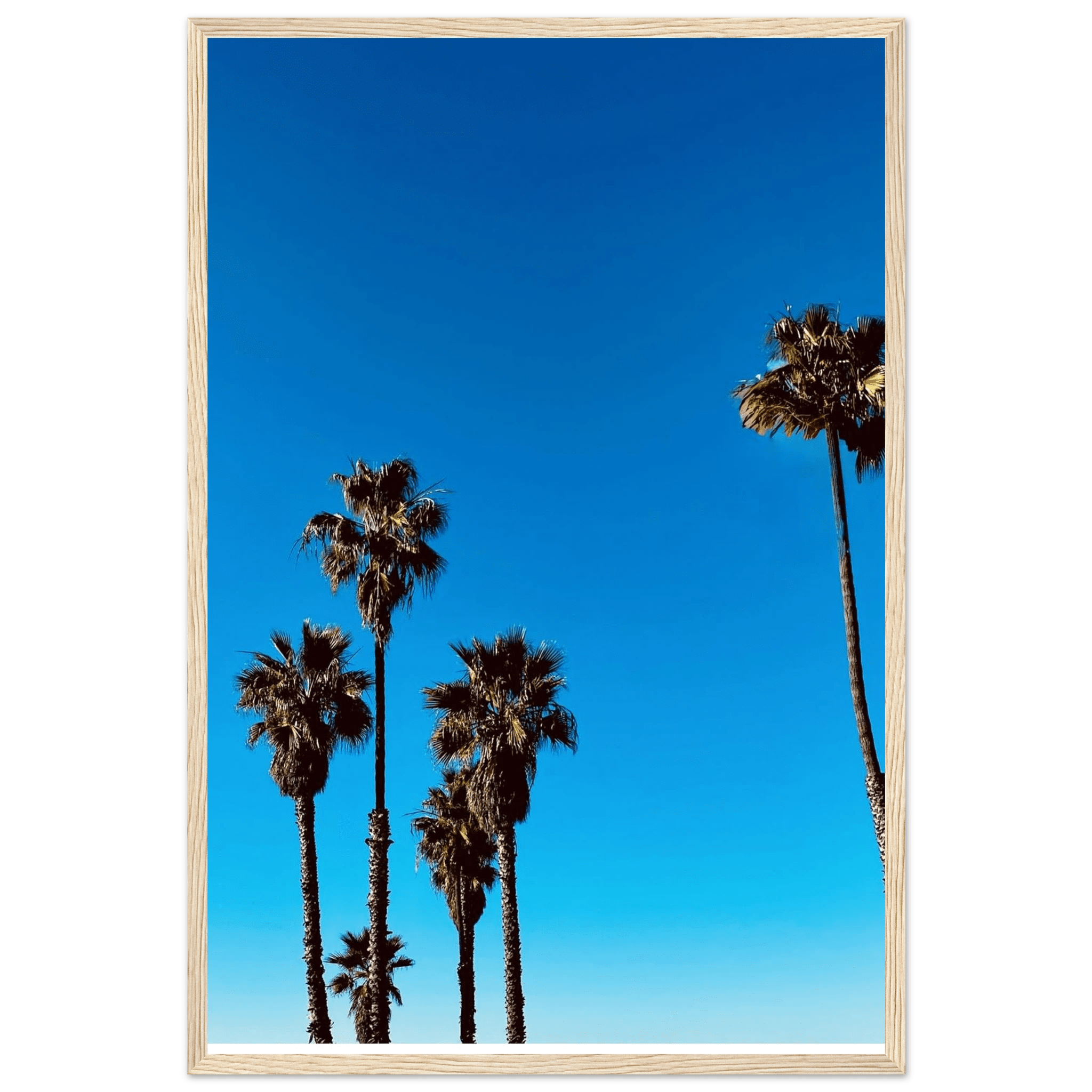 Santa Barbara Palm Tree Magic wooden framed poster by CaliCuration, California-themed home decor on semi-glossy paper, Spring 2026 edition.