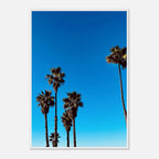Wooden framed Santa Barbara Palm Tree poster on semi-glossy paper, California-themed home decor by CaliCuration, Spring '26 studio edition.