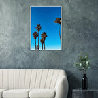 Santa Barbara Palm Tree Magic wooden framed poster showcasing California palm tree art on semi-glossy paper, studio edition, Spring 2026.