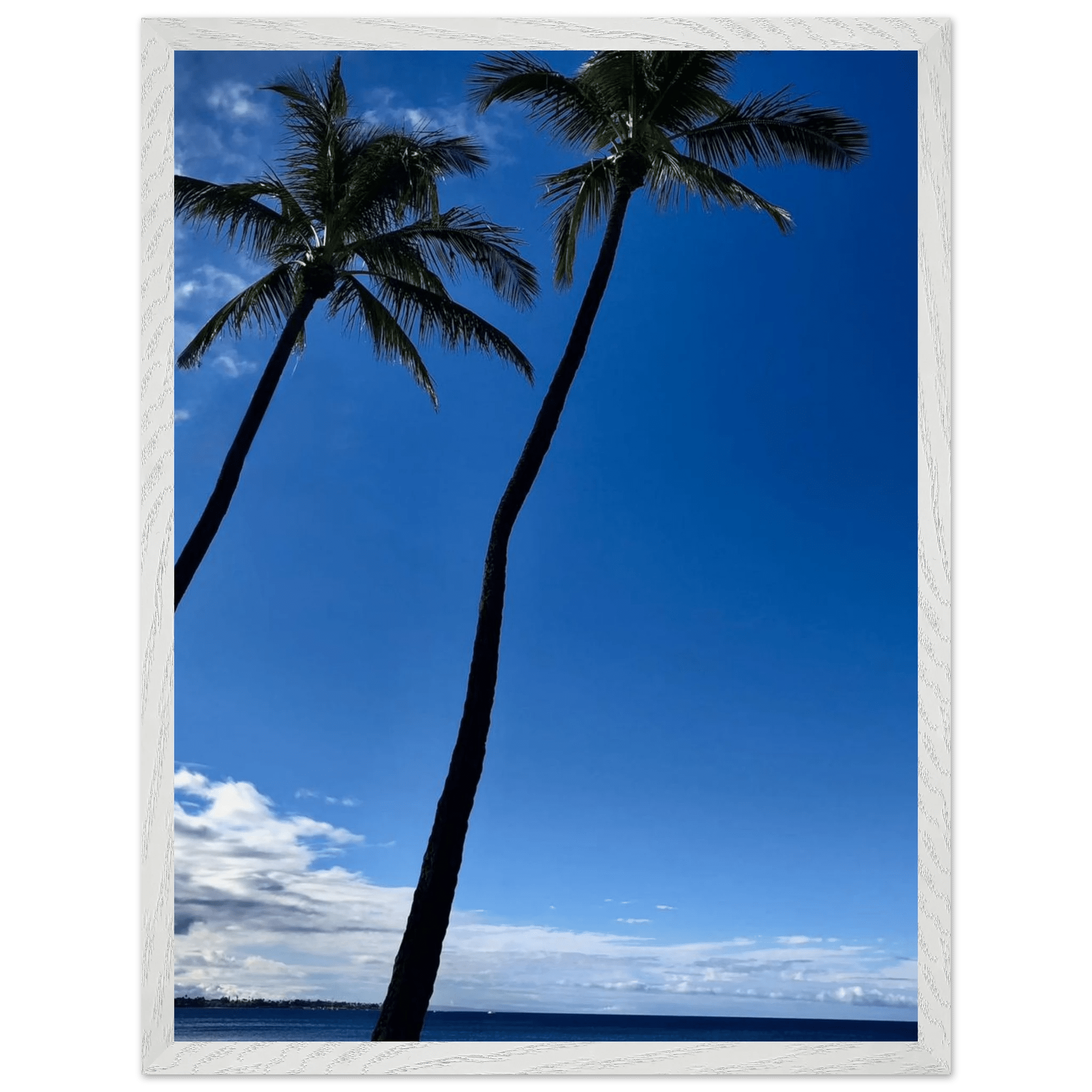 Framed print of Hawaii's iconic twin palm trees and Pacific waves, from CaliCuration's travel collection studio edition.