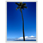 Hawaii Majestic Palm Tree Maui mounted framed print by CaliCuration, 15x20cm, white frame, tropical travel collection artwork