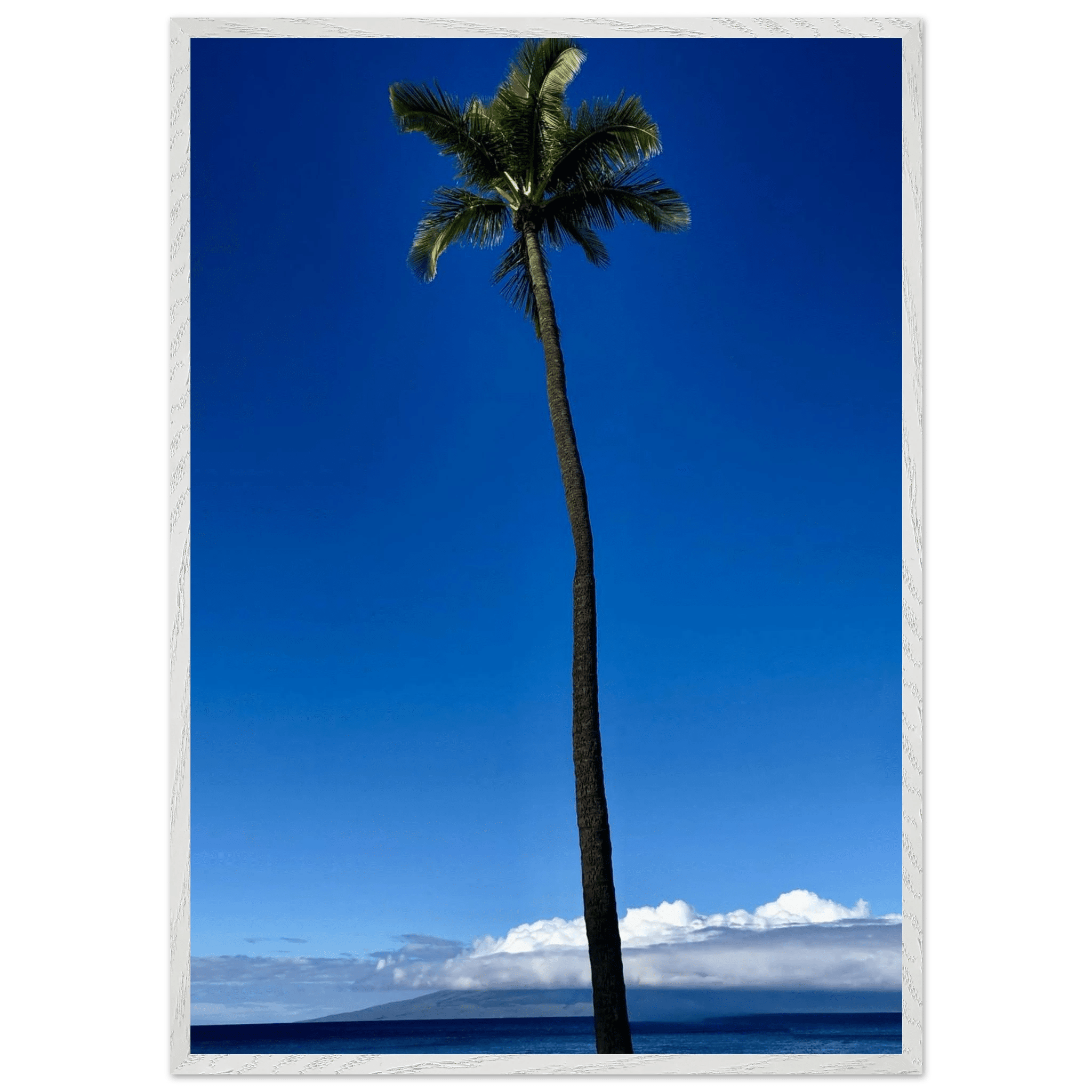 Framed Maui poster featuring a majestic palm tree, part of the Hawaii travel collection by CaliCuration, mounted on high-quality print material.