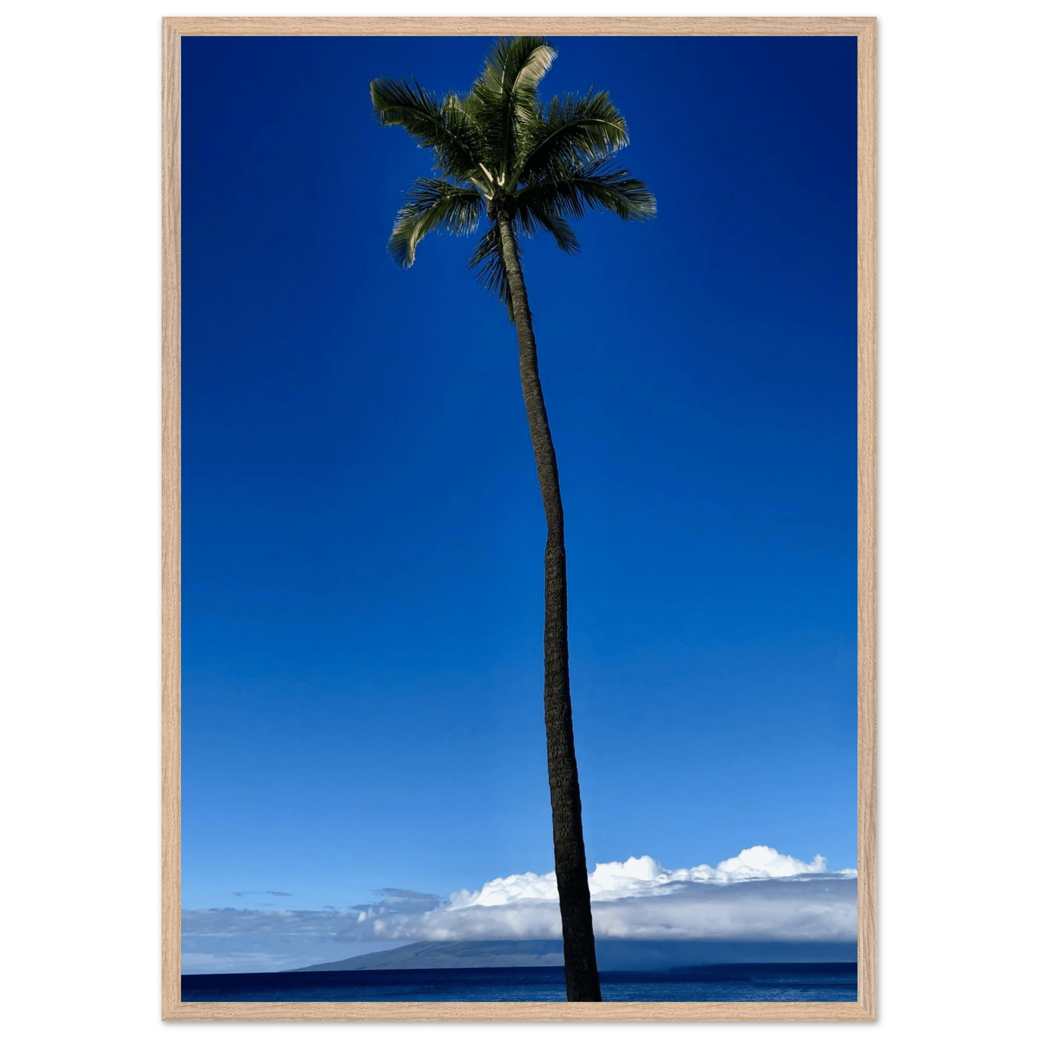 Hawaii Majestic Palm Tree Maui mounted framed poster from CaliCuration's Travel Collection, featuring a scenic tropical landscape.