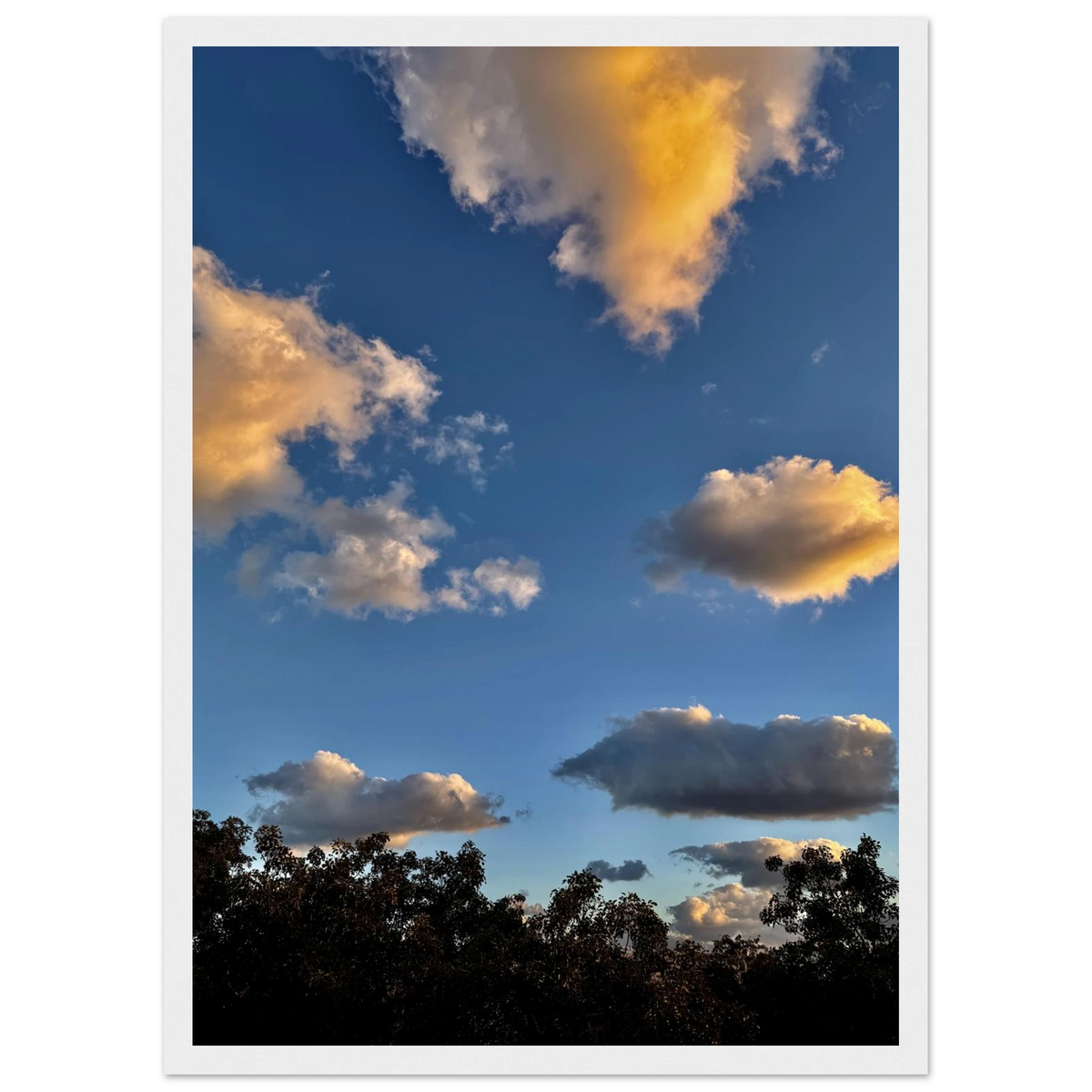 cb34a584-0949-46ad-996e-93b29f0db065