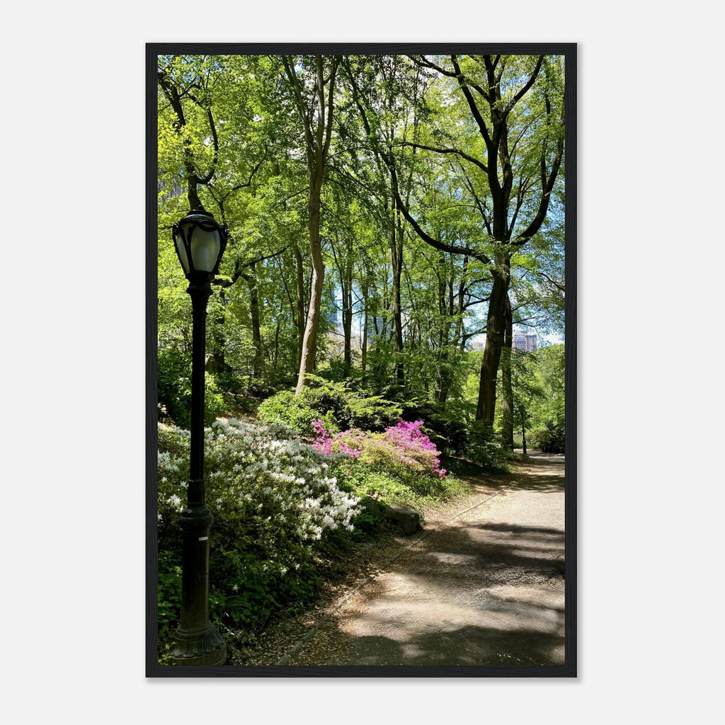 Central Park walkway framed art print on premium matte paper with wooden frame, part of the Travel Collection Studio Edition.