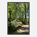 Central Park walkway framed art print on premium matte paper with wooden frame, part of the Travel Collection Studio Edition.