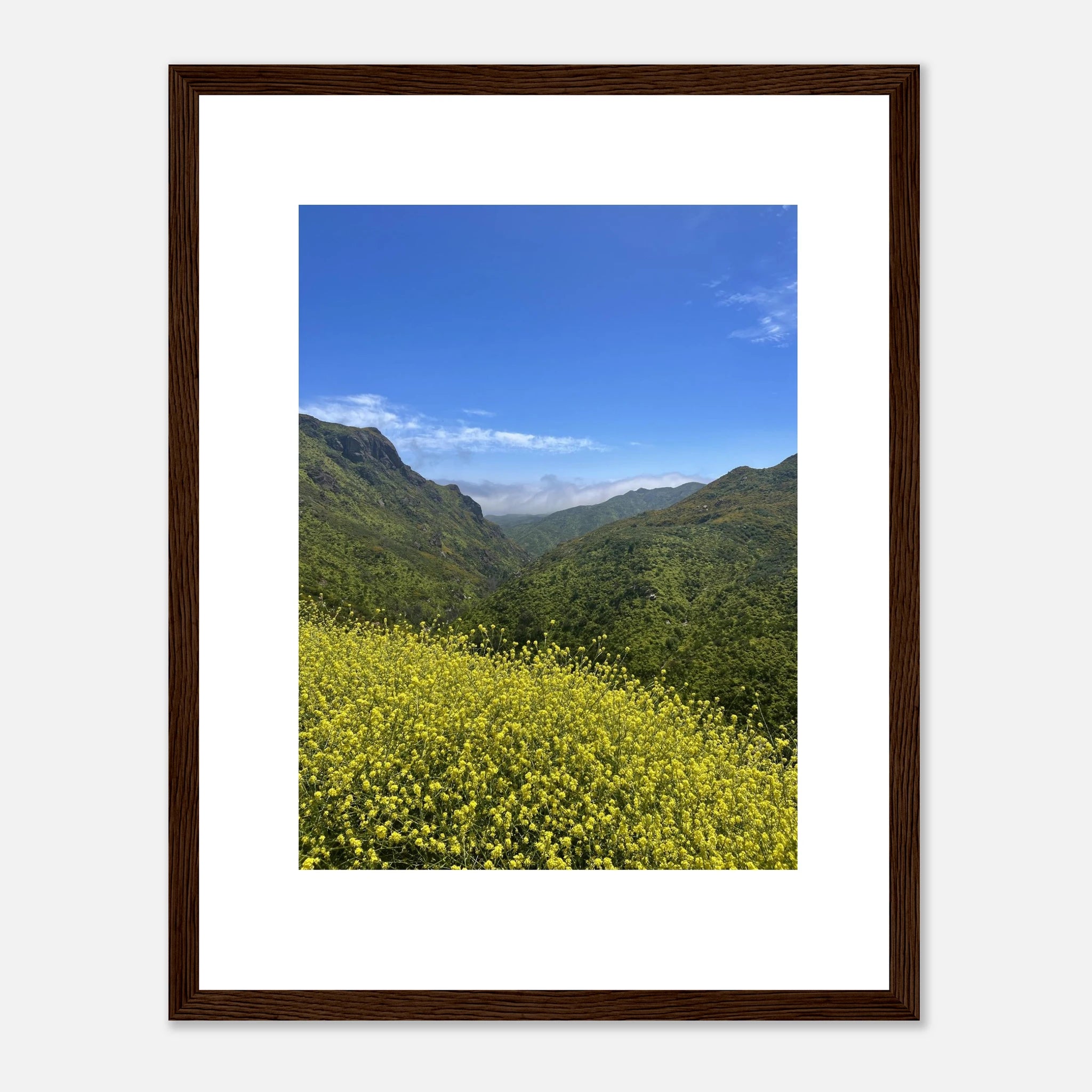 High-quality framed art print of Malibu Canyon in spring bloom wildflowers, California poster art by My Store.