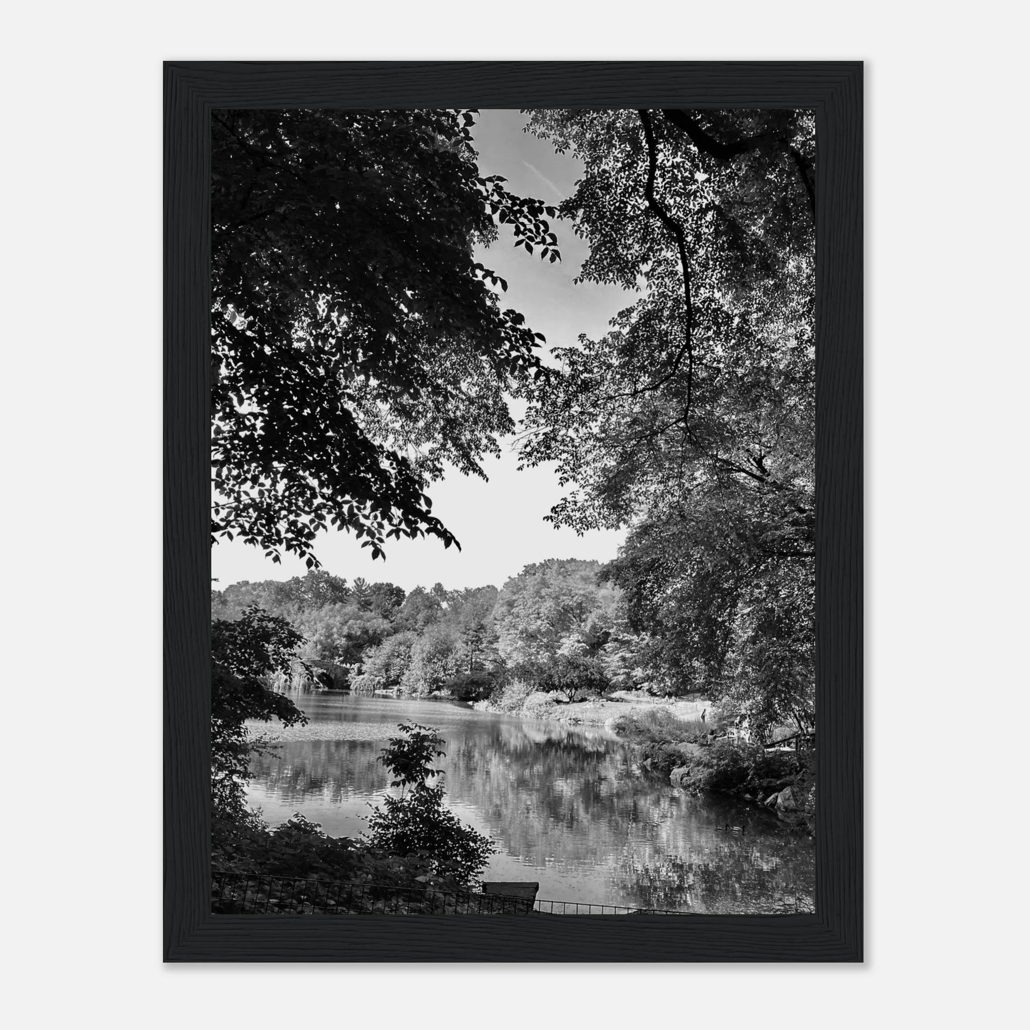 Black and white framed print of a summer lake scene from Upstate NY, featuring tranquil waters and scenic shoreline.