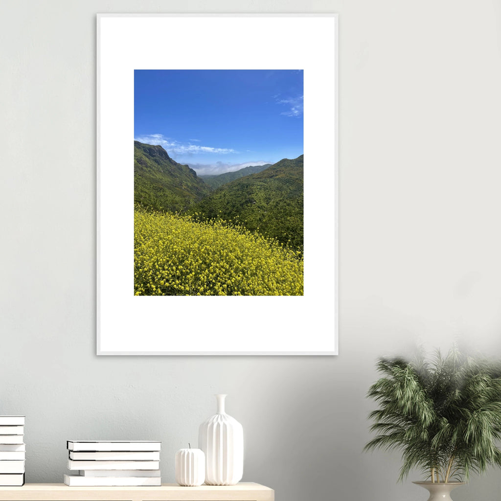 High-quality framed art print of Malibu Canyon in spring bloom wildflowers, depicting California landscape with vibrant colors.