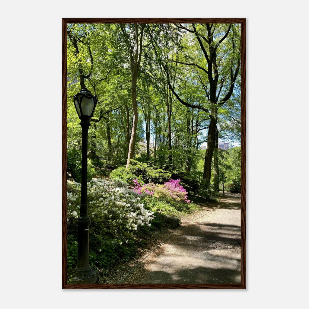 Framed artwork of Central Park walkway on premium matte paper, featuring a serene scene from the Travel Collection by My Store.