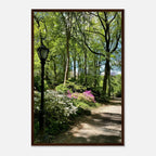 Framed artwork of Central Park walkway on premium matte paper, featuring a serene scene from the Travel Collection by My Store.