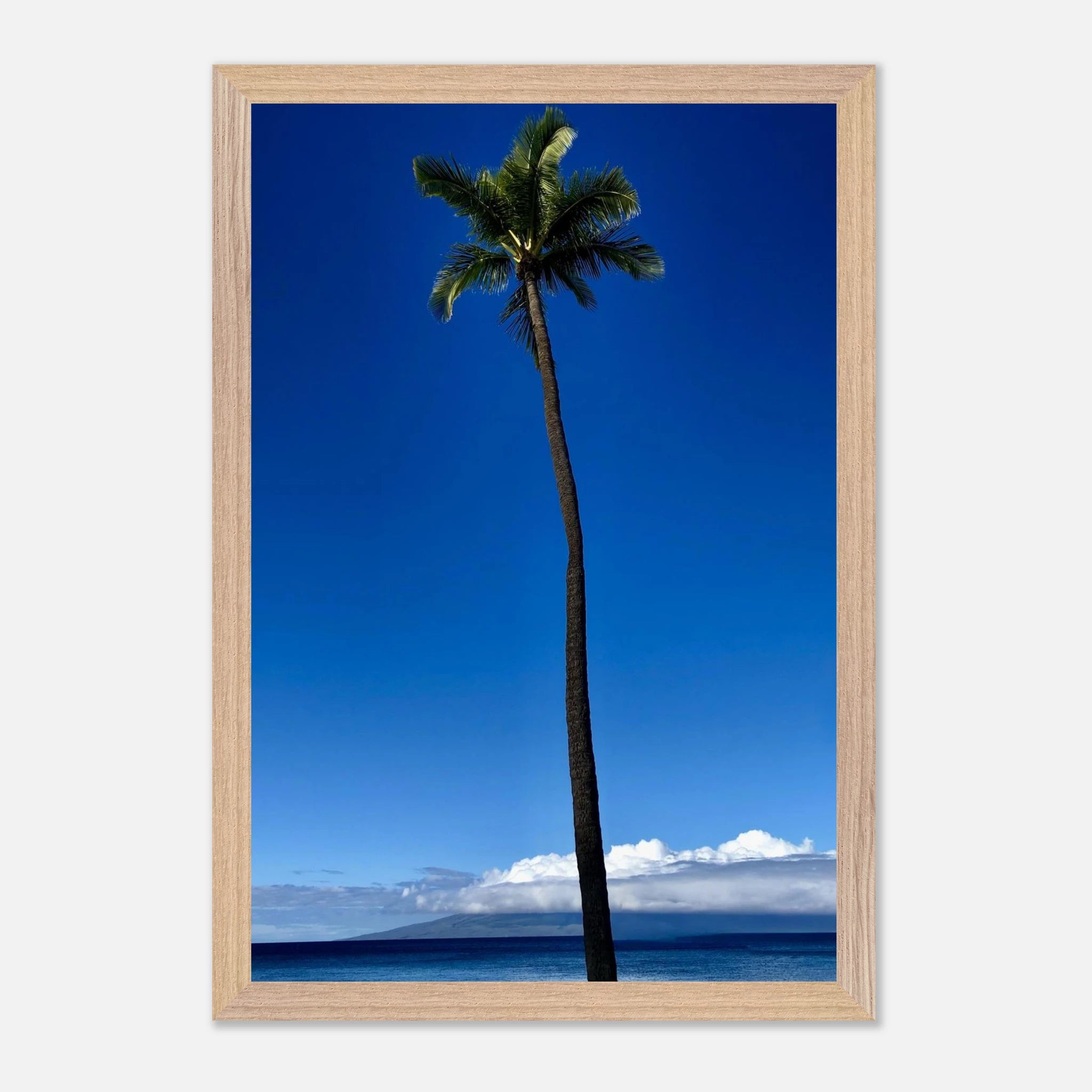 Hawaii Majestic Palm Tree Maui framed poster print from CaliCuration's travel collection, featuring a tropical palm scene.