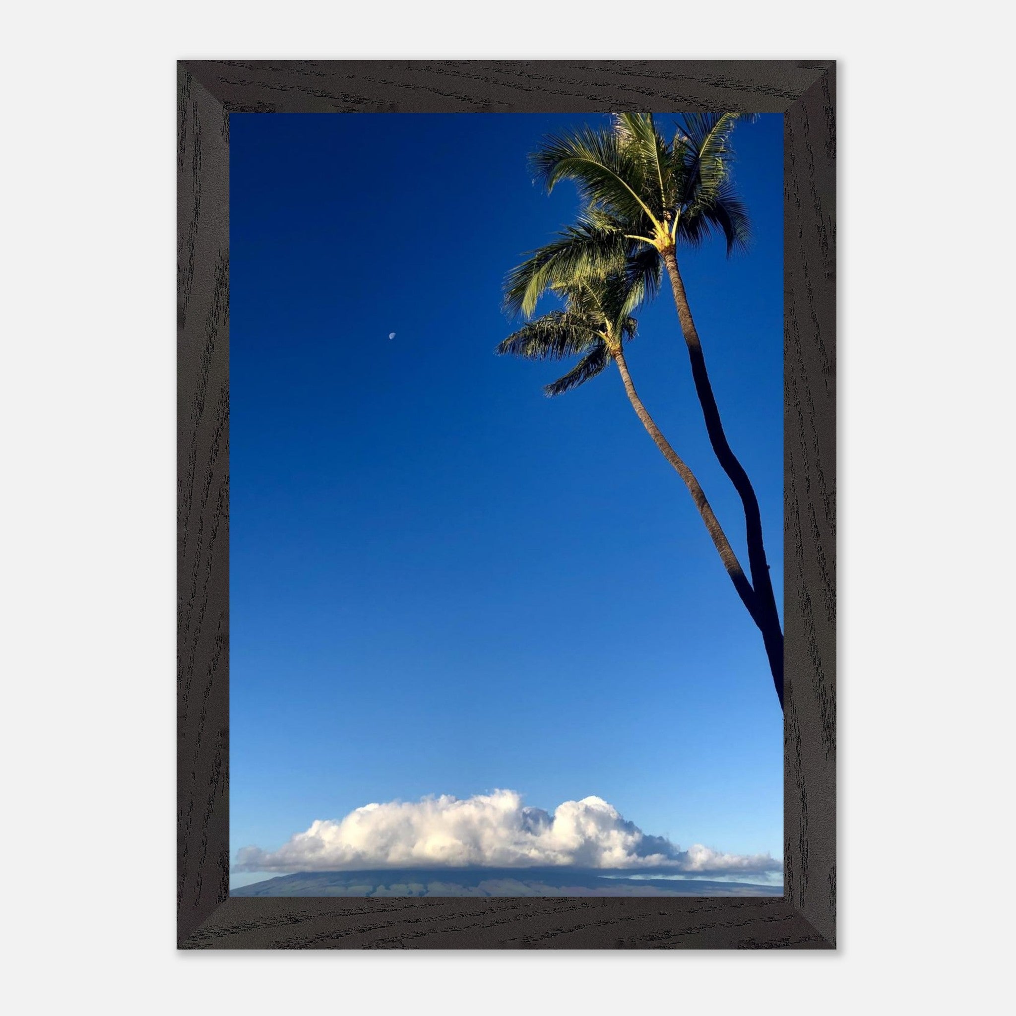 ce8b95b4-ee69-467b-a146-03dfd2082985