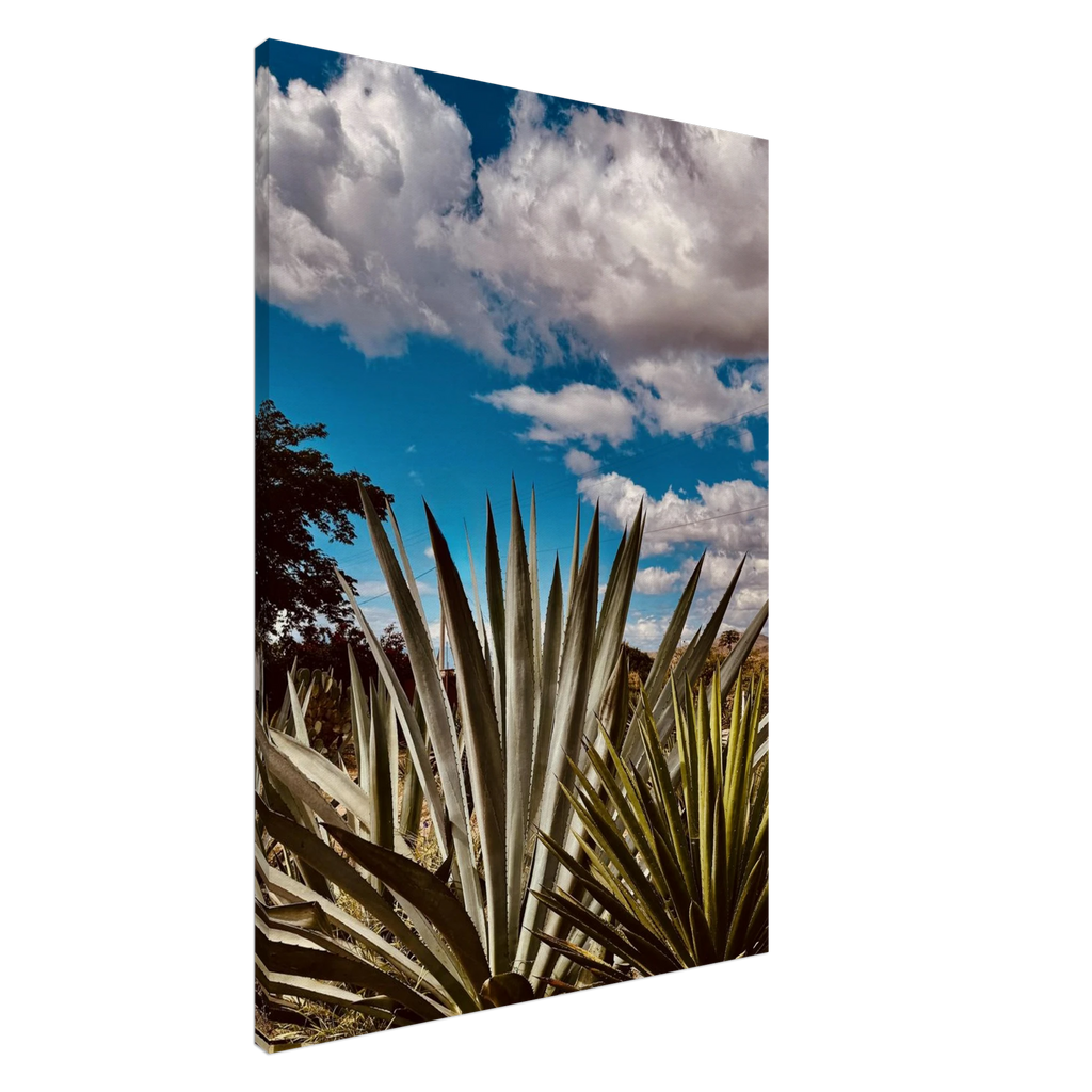 Oaxaca Desert canvas artwork featuring mezcal plantation in vibrant colors, part of the Studio Edition travel collection.