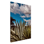 Oaxaca Desert canvas artwork featuring mezcal plantation in vibrant colors, part of the Studio Edition travel collection.