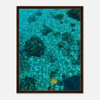 Vibrant tropical summer coastal artwork print by My Store in a sleek frame, featuring natural beach scene and travel-inspired decor.