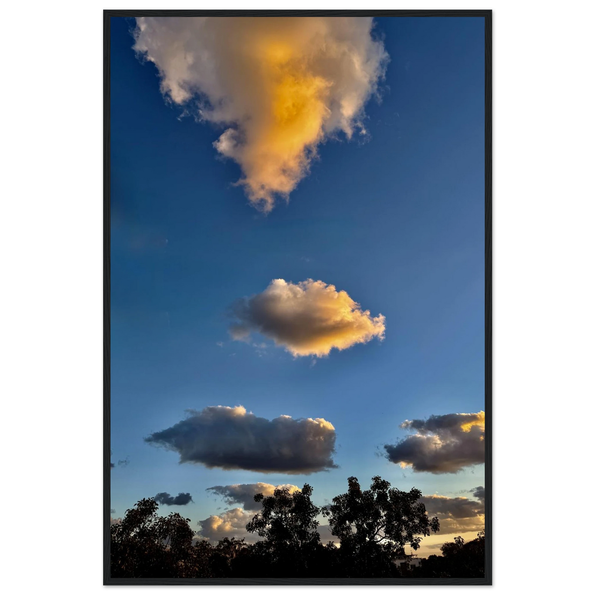 d2b530ee-971c-4151-8a1d-3e9b29587536