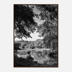 Black and white framed print of Upstate NY summer lake scene from the My Store Travel Collection, Studio Edition, perfect for home decor.