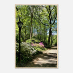 Central Park walkway framed art print on premium matte paper with a wooden frame, part of the Travel Collection Studio Edition.
