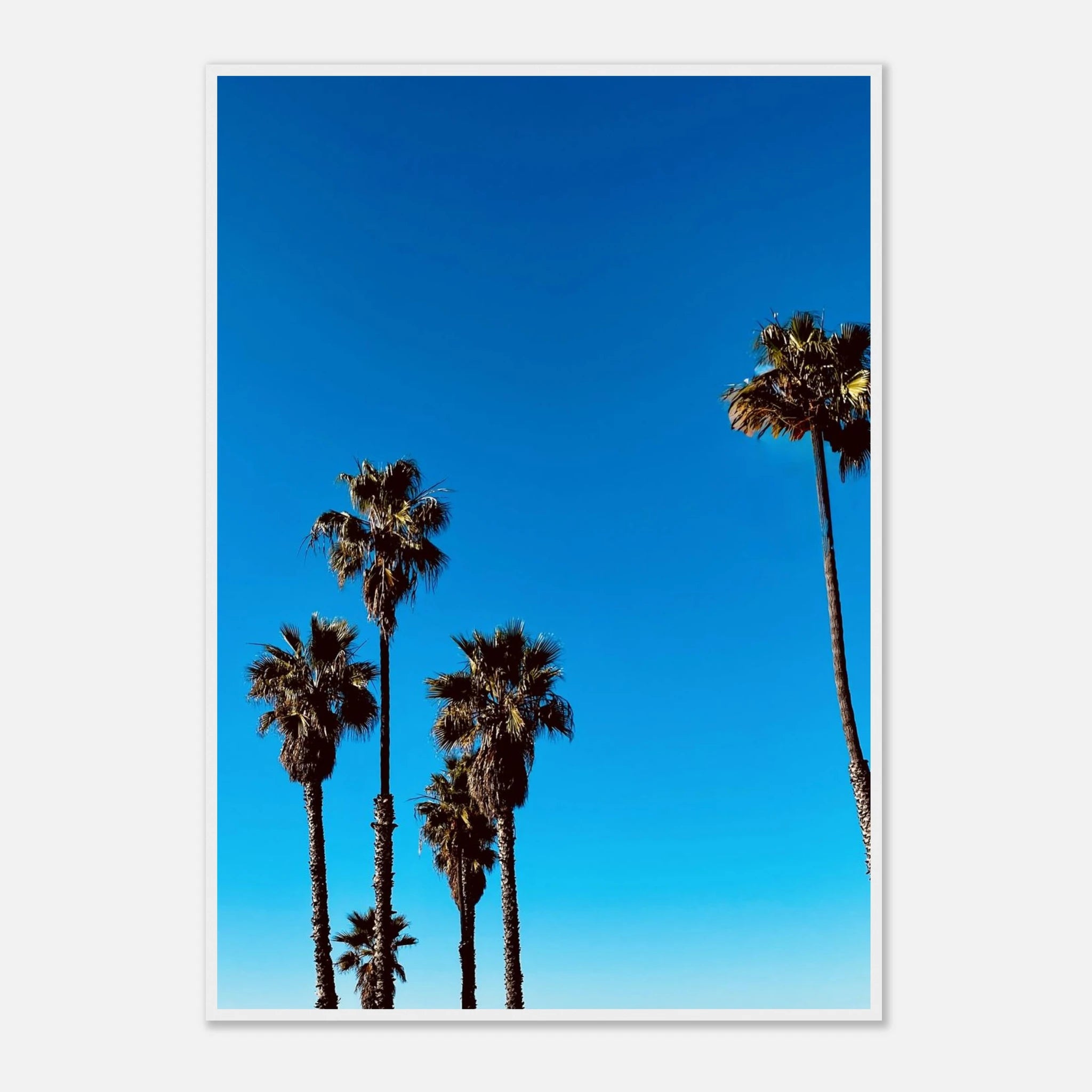 Santa Barbara palm tree poster by CaliCuration, wooden framed home decor art print with semi-glossy finish, California spring '26 edition.