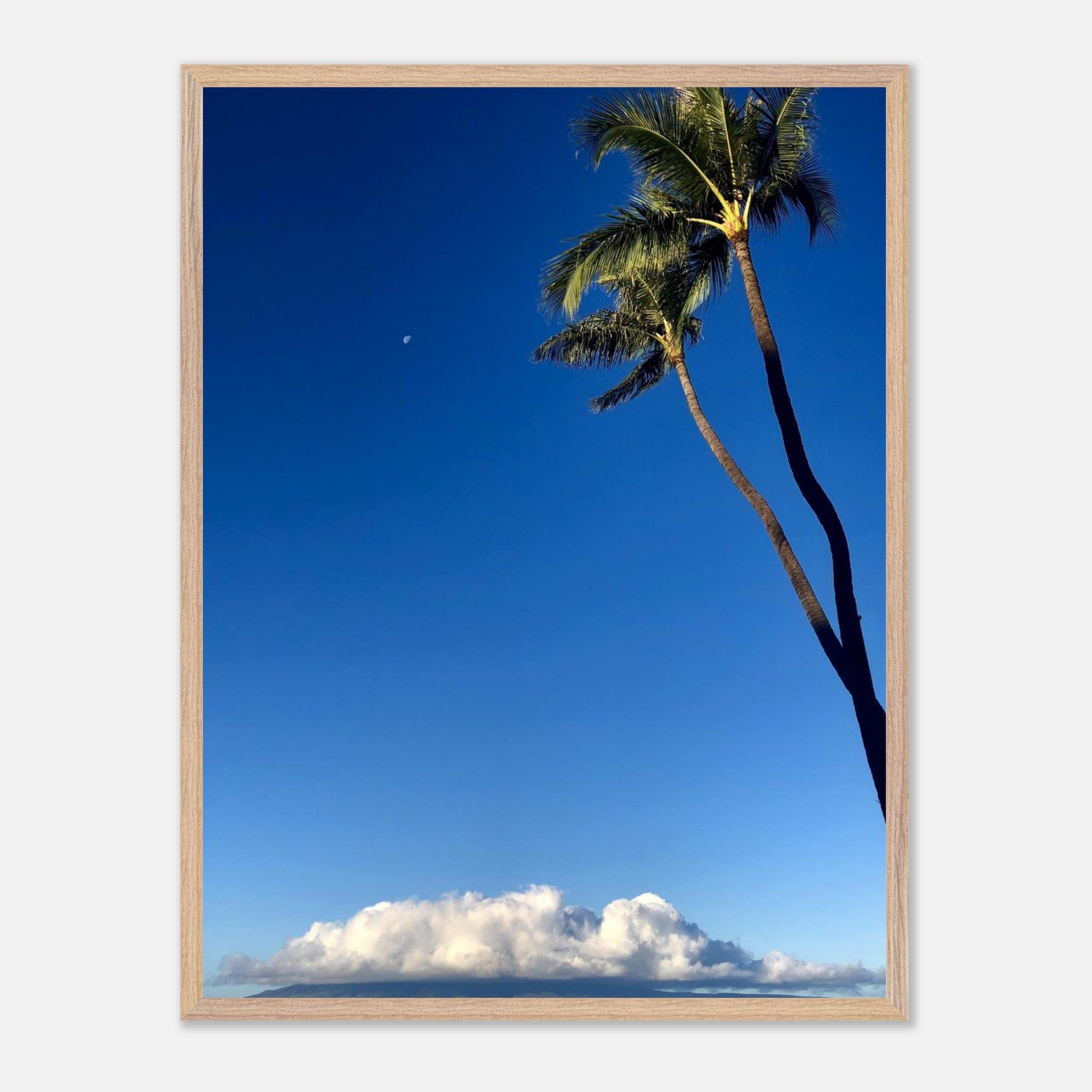 d3fe898d-119c-40f0-9df1-7bad647a4b2e