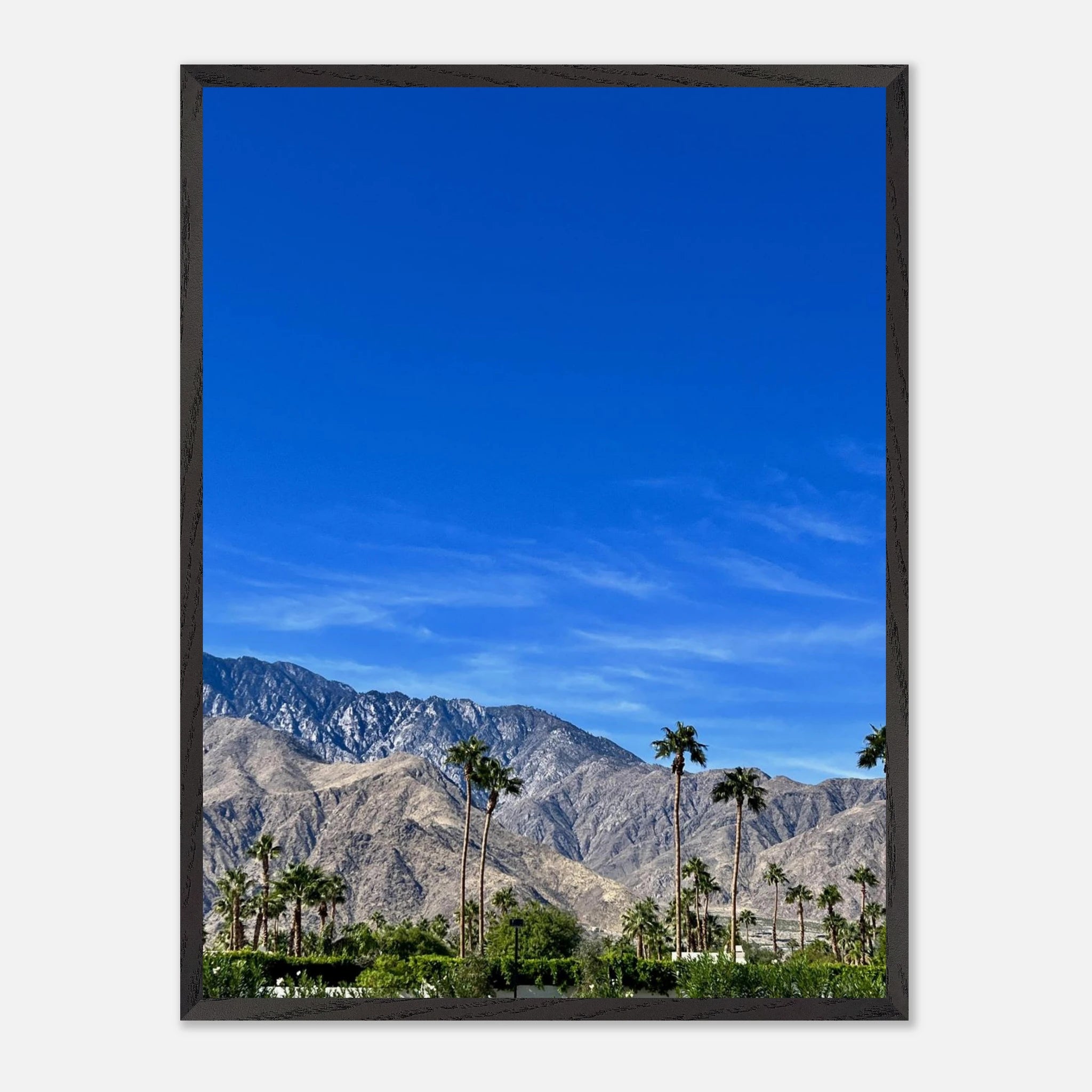 Premium wooden framed poster of a sunny fall day in Palm Springs, California, featuring vibrant autumn scenery and stylish print art.