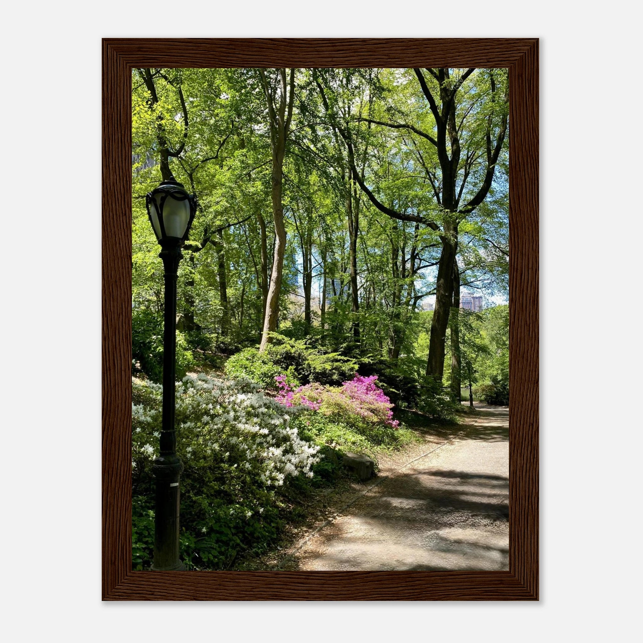 Framed art print of Central Park walkway on premium matte paper, wooden frame, part of Studio Edition travel collection.