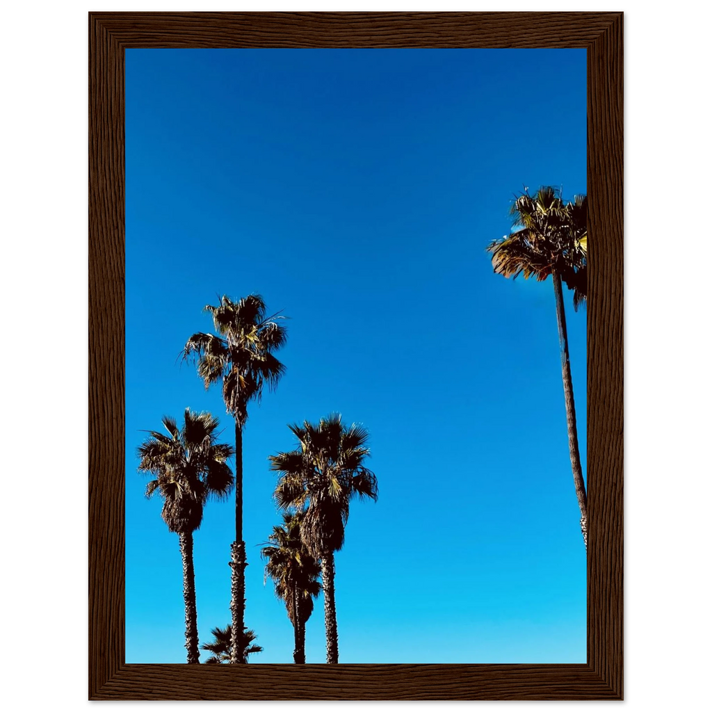 Santa Barbara Palm Tree art poster by CaliCuration, framed wooden home decor featuring California landscape on semi-glossy paper.