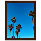 Santa Barbara Palm Tree art poster by CaliCuration, framed wooden home decor featuring California landscape on semi-glossy paper.