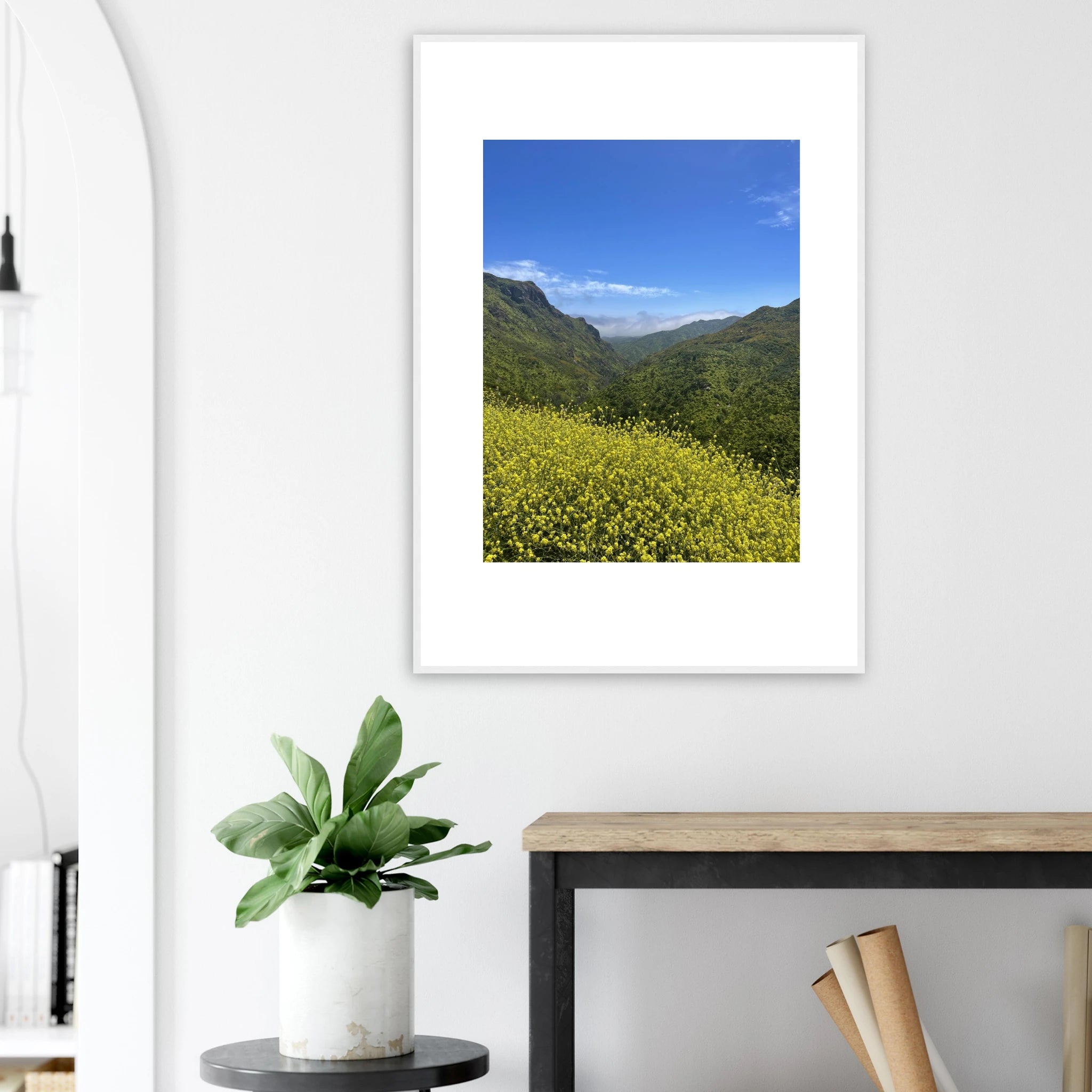 High-quality framed art print of Malibu Canyon spring wildflowers, showcasing vibrant California landscape artwork.