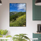 Malibu Canyon Wildflowers wooden framed poster on museum-quality matte paper wall art showcasing California wildflower scene.