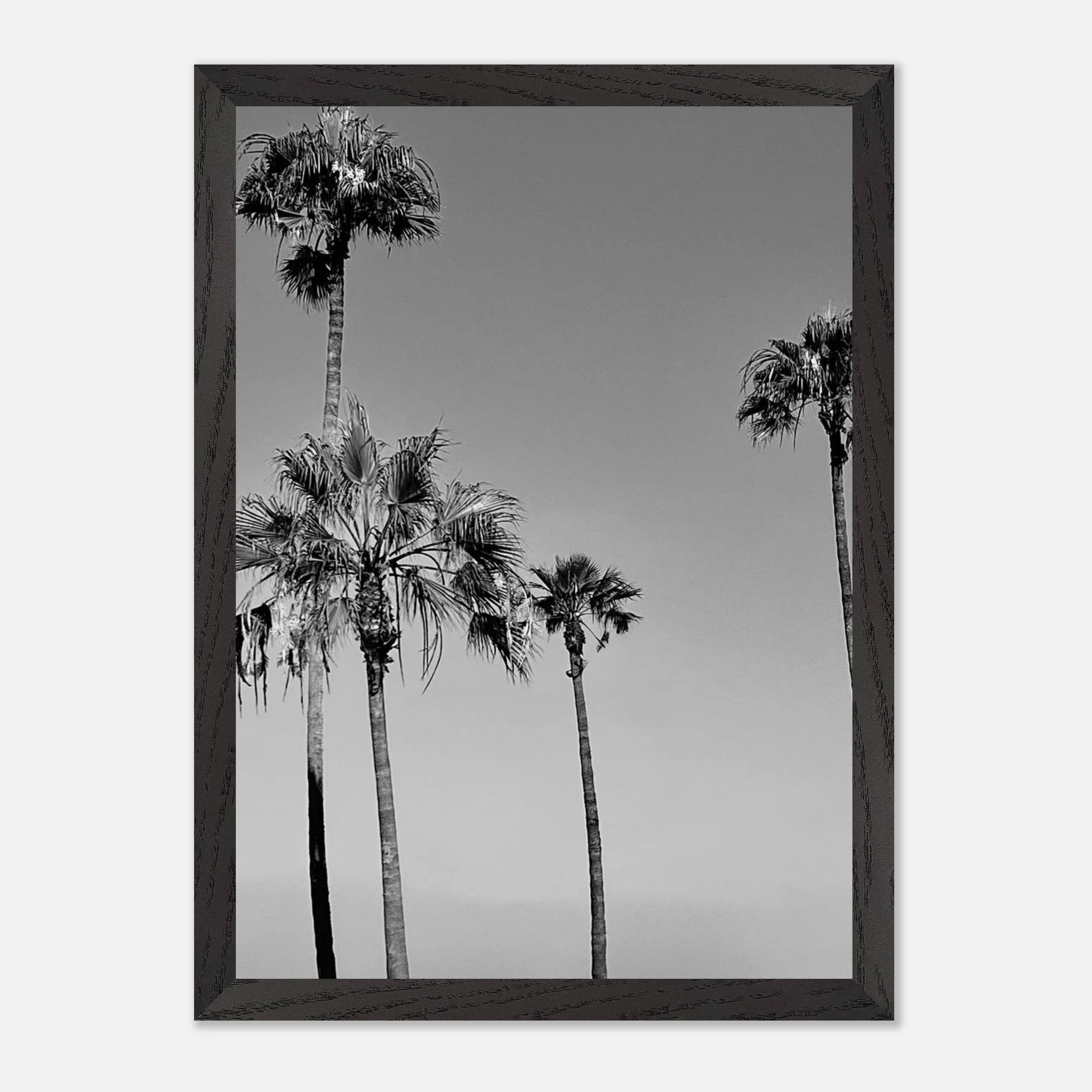 Premium wooden framed black and white California beach icons poster art in semi-gloss finish from the Studio Edition.