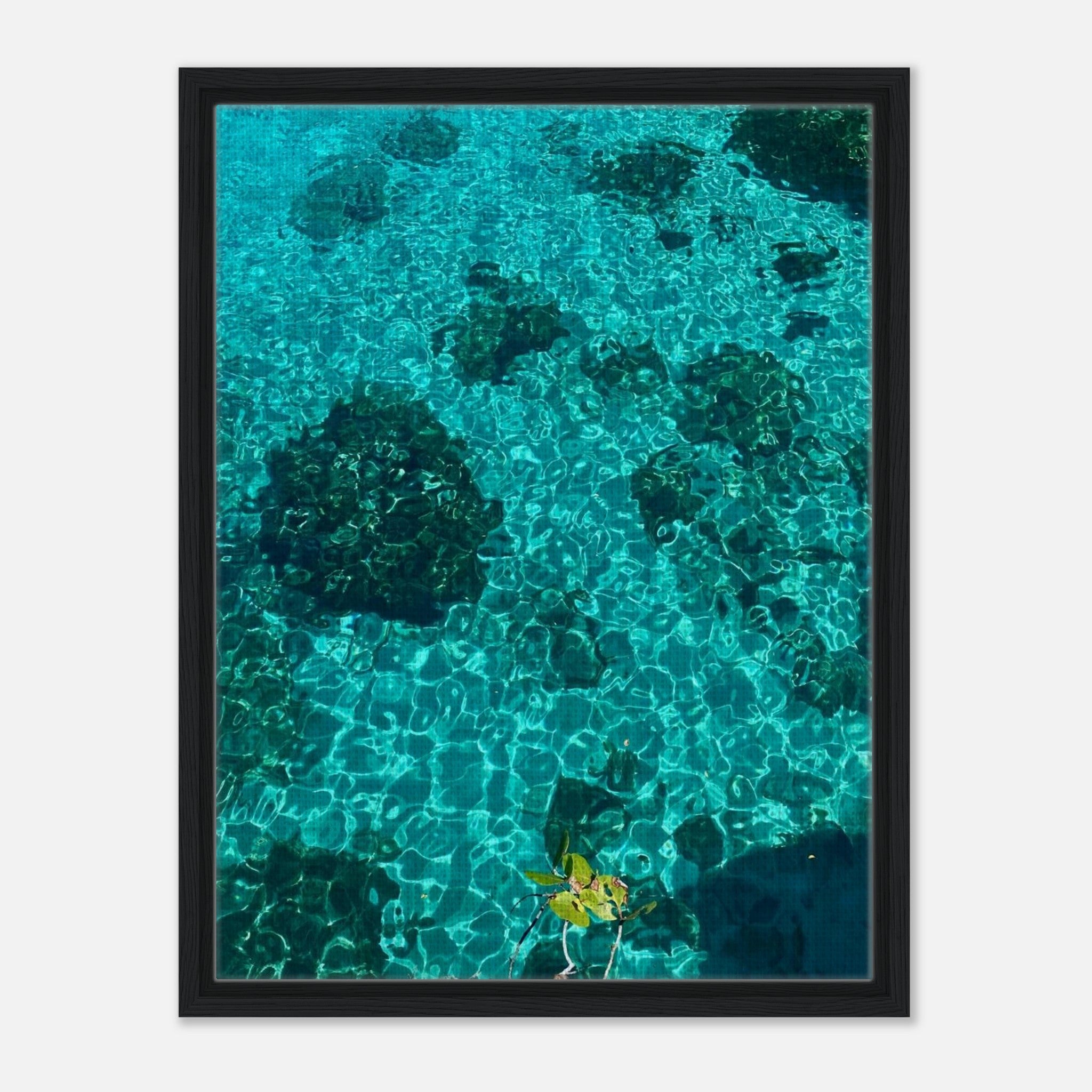 Vibrant tropical summer coastal art print framed on canvas, natural decor from the Studio Edition travel collection.