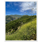 Wooden framed Malibu Canyon Wildflowers poster on matte paper wall art, featuring California floral artwork by Studio Edition.