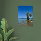 Majestic tree on a European lake aluminum print, nature-inspired wall art from the Studio Edition travel collection, showcasing serene landscape.