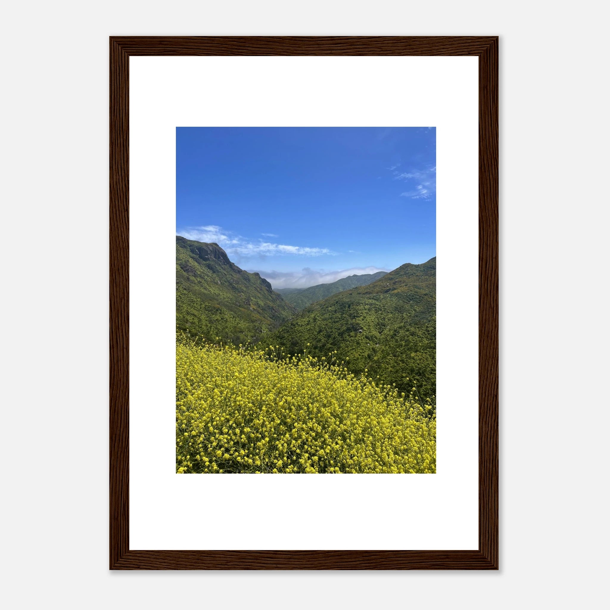 High-quality framed art print of Malibu Canyon spring wildflowers, showcasing vibrant California landscape art by My Store.