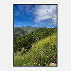 Malibu Canyon Wildflowers wooden framed poster wall art on museum-quality matte paper featuring California scenery and studio edition print