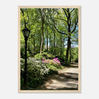 Framed art print of Central Park walkway on premium matte paper, wooden frame, part of the Studio Edition travel collection.