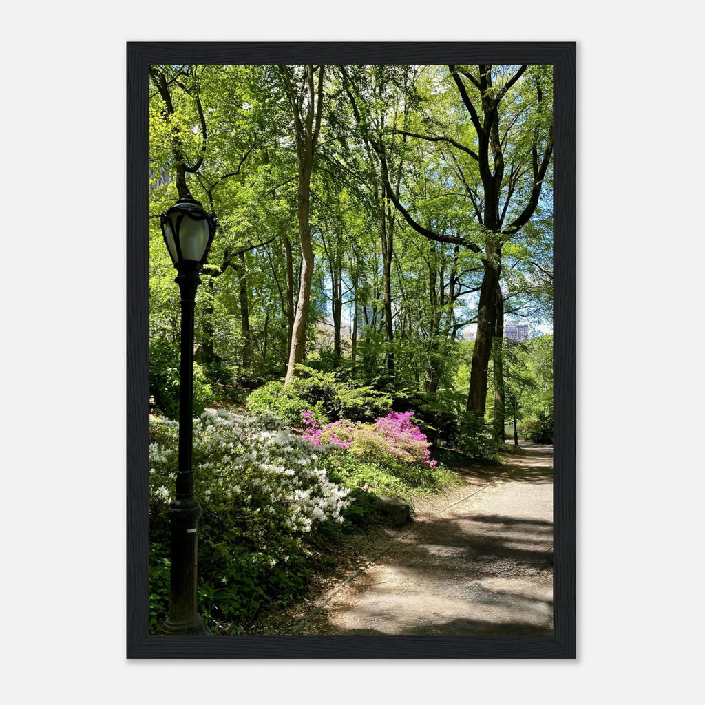Serene Central Park Walkway framed print wall art, depicting a peaceful New York City scene with lush trees and pathway.