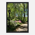 Serene Central Park Walkway framed print wall art, depicting a peaceful New York City scene with lush trees and pathway.