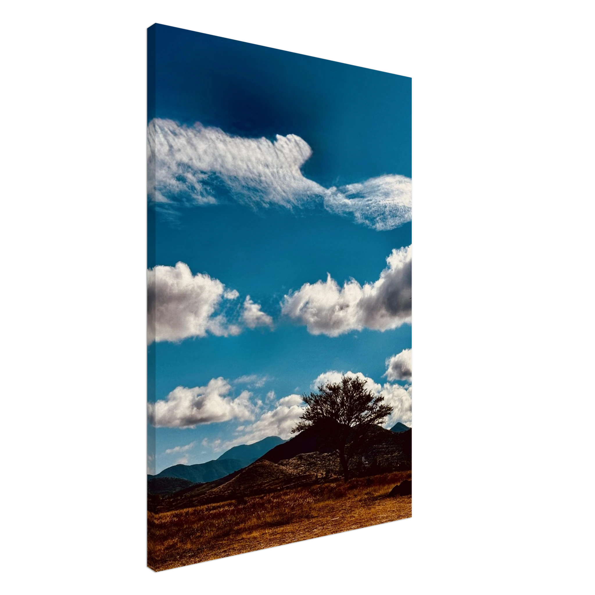 Oaxaca Mountains canvas artwork featuring vibrant spring colors, part of the travel collection by My Store.